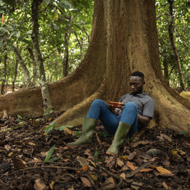 Fractures numériques